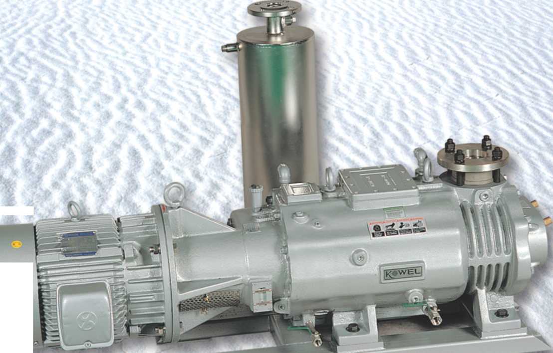 Dry vacuum pump